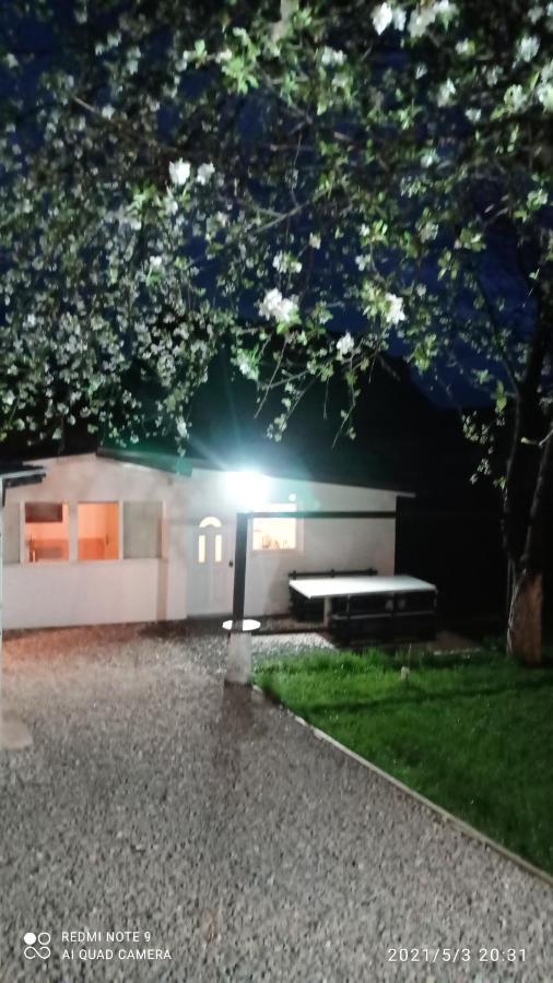 Ravne Apartman ヴィソコ エクステリア 写真