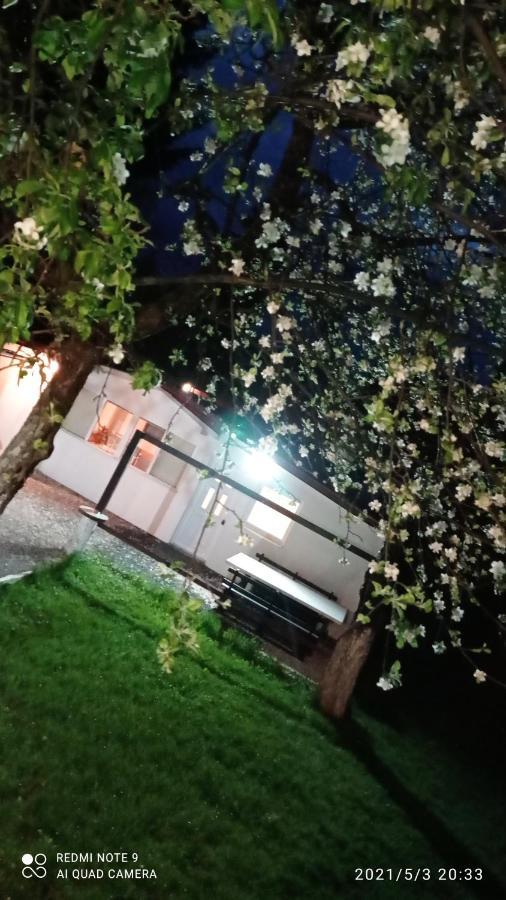Ravne Apartman ヴィソコ エクステリア 写真
